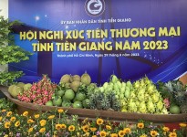 Hội nghị xúc tiến thương mại tỉnh tiền giang năm 2023 - Tổ chức 29/8/2023 tại tp.hcm